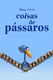 Coisas de Pássaros