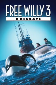 Free Willy 3 – O Resgate