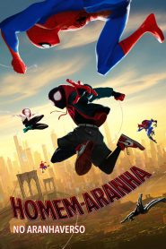 Homem-Aranha: No Aranhaverso