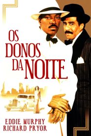 Os Donos da Noite