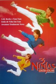 3 Ninjas Contra-Atacam